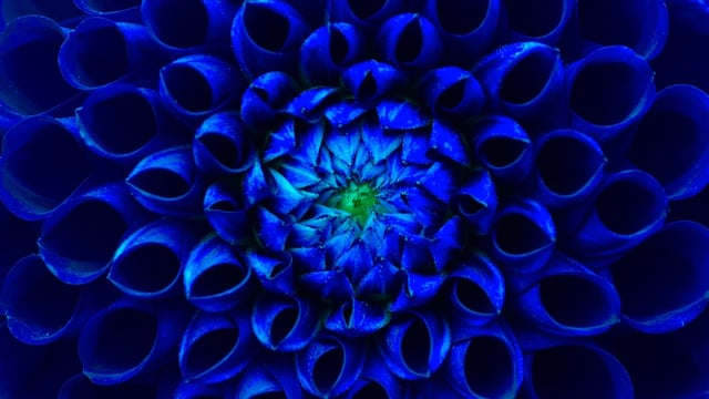 Risk Through A New Lens Report